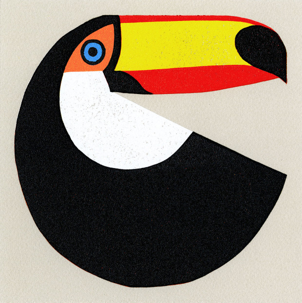 toucan